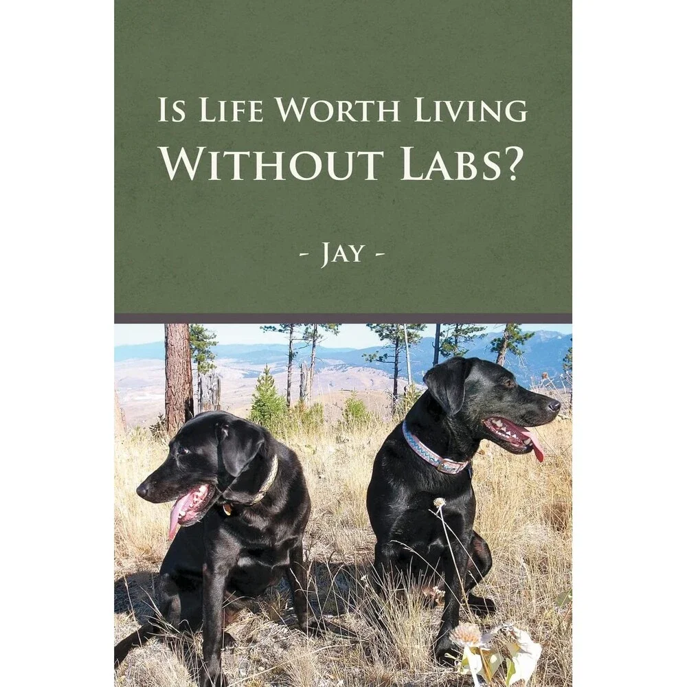 Is Life Worth Living Without Labs?